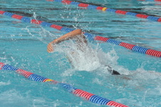 Enlarge photo 464
