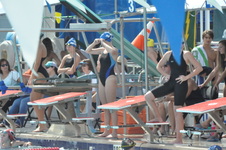 Enlarge photo 470