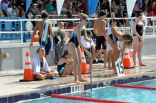 Enlarge photo 479