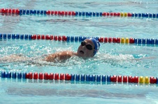 Enlarge photo 482