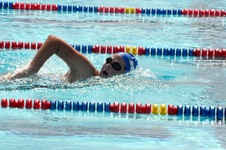 Enlarge photo 483