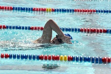 Enlarge photo 484