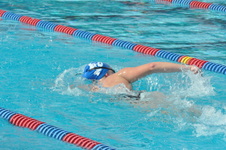 Enlarge photo 490
