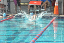 Enlarge photo 501