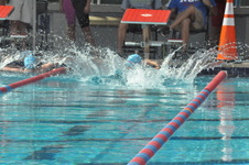 Enlarge photo 502