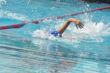 Enlarge photo 504
