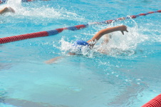 Enlarge photo 505