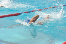 Enlarge photo 506