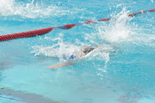 Enlarge photo 507