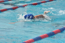 Enlarge photo 508