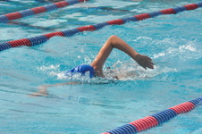 Enlarge photo 509