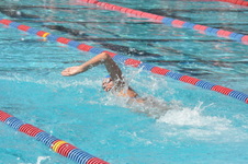 Enlarge photo 511