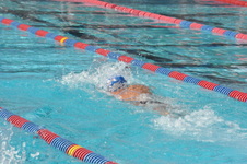 Enlarge photo 512