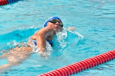 Enlarge photo 513
