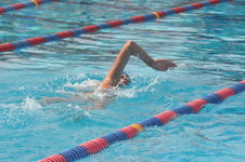 Enlarge photo 517