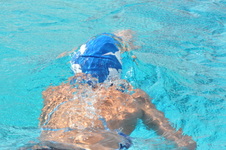 Enlarge photo 518