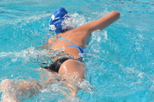 Enlarge photo 521