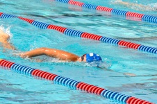 Enlarge photo 524