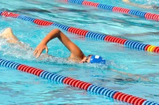 Enlarge photo 525