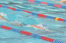 Enlarge photo 526