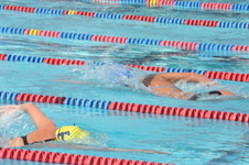 Enlarge photo 535