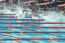 Enlarge photo 565