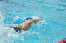 Enlarge photo 569