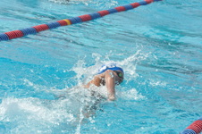 Enlarge photo 570