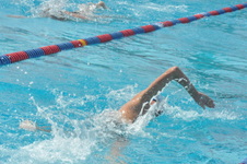 Enlarge photo 571