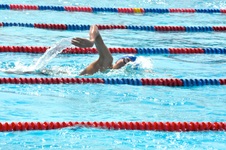 Enlarge photo 572