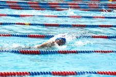 Enlarge photo 573