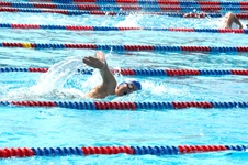 Enlarge photo 574