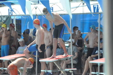 Enlarge photo 583