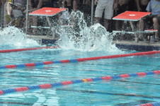 Enlarge photo 608
