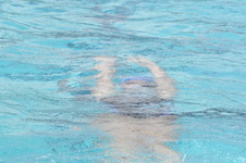 Enlarge photo 610