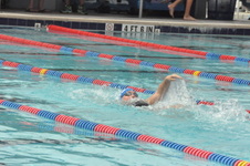 Enlarge photo 627