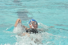 Enlarge photo 633