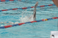 Enlarge photo 636