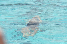 Enlarge photo 647