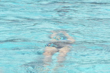 Enlarge photo 648