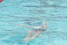 Enlarge photo 649