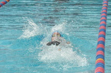 Enlarge photo 653