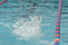 Enlarge photo 654