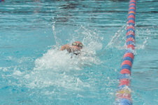 Enlarge photo 655