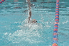 Enlarge photo 656