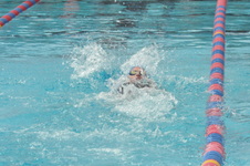 Enlarge photo 657