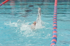 Enlarge photo 658