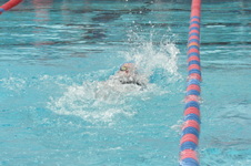 Enlarge photo 659