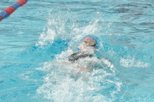 Enlarge photo 669