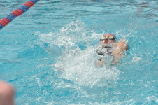 Enlarge photo 670
